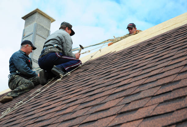 Best Storm Damage Roof Repair  in Aragon, GA